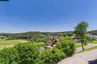 Haus kaufen in 3633 Schönbach, Ehemaliges Arzt- und Wohnhaus in Schönbach mit Fernblick in das Waldviertel