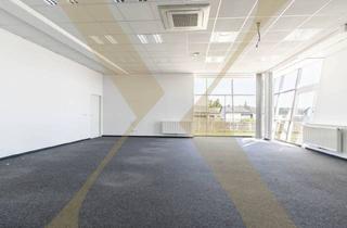 Büro zu mieten in 4050 Traun, Klimatisierte Bürofläche mit Parkplätzen und Lager in Trauner Bestlage zu Vermieten!