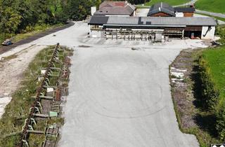 Lager mieten in 3352 Sankt Michael am Bruckbach, 13.000 m² Große Freifläche und 1 Lagerhalle mit Ca. 240 m² im Urltal zu Mieten