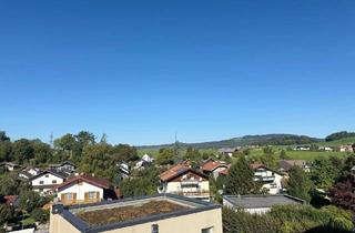 Wohnung mieten in 5202 Neumarkt am Wallersee, Neumarkt: 3-Zimmer-Wohnung mit Dachterrasse