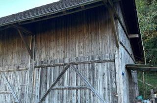 Lager mieten in Hohlsteinweg 24, 6230 Brixlegg, Lagerhalle + umliegende Fläche – 35 m² – Brixlegg