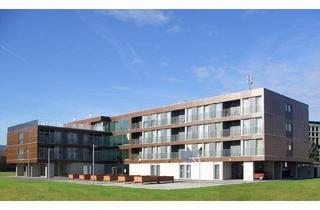 Wohnung mieten in Rotes Kreuz-Gasse 1/ Kanalgasse 16, 2500 Baden, BADEN LEESDORF III/1, "Betreutes Wohnen" - geförderte Mietwohnung, 2. OG Top 24 (Betreutes Wohnen), 1000/00009901/00001124