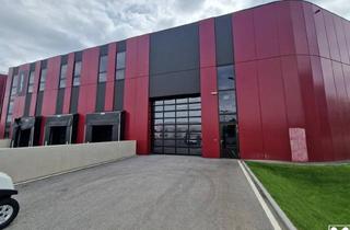 Büro zu mieten in 2100 Korneuburg, Produktions- und Hallenflächen in Hochmodernem Businesspark Samt Direktem Bahnanschluss Mitten in der Stadt
