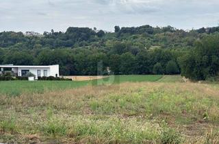 Grundstück zu kaufen in 7021 Draßburg, Grün-Siedlungslage in Bahnhofsnähe - Optimal Auch Als Anlage