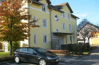 Wohnung mieten in Dorf An Der Pram 60/6, 4751 Dorf, Objekt 320: 3-Zimmerwohnung in 4751 Dorf an der Pram Nr. 60, Top 6