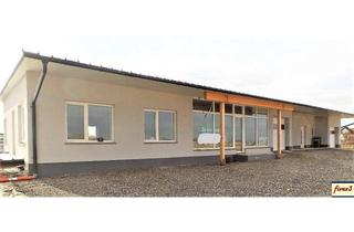 Geschäftslokal mieten in 3454 Reidling, LAGER bzw Werkraum/Verkaufsraum in Sitzenberg-Reidling zu mieten. Tulln, Krems, St. Pölten je ca. 20 km