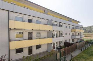 Wohnung mieten in Wiener Straße 64, 3133 Traismauer, Traismauer dein neuer Lebensplatz