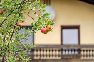 Einfamilienhaus kaufen in 5020 Salzburg, „Herbstapfel“ – XL-Einfamilienhaus mit genehmigter Erweiterung