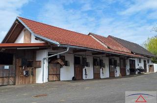 Gewerbeimmobilie kaufen in 8323 Krumegg, Top gepflegte Reitsportanlage in traumhafter Aussichtslage! Ihr persönliches Paradies für Mensch & Pferd!