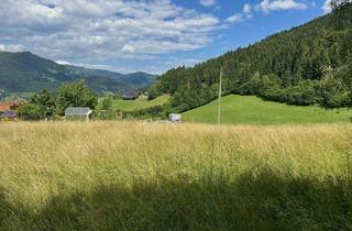 Grundstück zu kaufen in 9543 Hinterbuchholz, Natur. Ruhe. Aussicht. – Ihr Baugrundstück im Herzen Kärntens