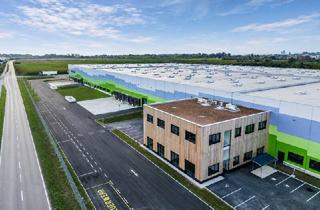 Büro zu mieten in 2542 Kottingbrunn, Flexible Logistik- und Lagerflächen in Kottingbrunn
