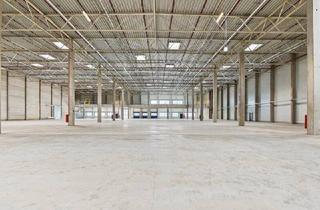 Büro zu mieten in 2542 Kottingbrunn, Flexible Logistik- und Lagerflächen in Kottingbrunn