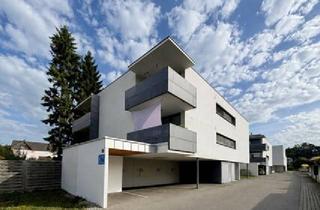 Wohnung mieten in 6971 Hard, 3-Zimmer-Wohnung mit großem Balkon, Hard | Seenähe