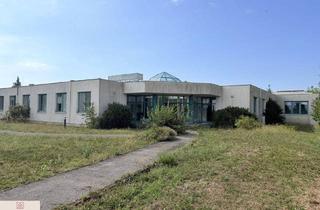Büro zu mieten in 2514 Traiskirchen, Vielseitiges Gewerbeobjekt, ideal für Pharma, Labor & Produktion mit Erweiterungspotential - Traiskirchen