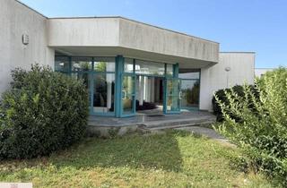 Lager kaufen in 2514 Traiskirchen, Vielseitiges Gewerbeobjekt - Ideal Für Pharma, Labor & Produktion mit Erweiterungspotential - Traiskirchen