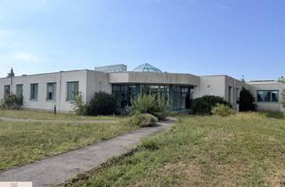 Lager mieten in 2514 Traiskirchen, Vielseitiges Gewerbeobjekt, Ideal Für Pharma, Labor & Produktion mit Erweiterungspotential - Traiskirchen