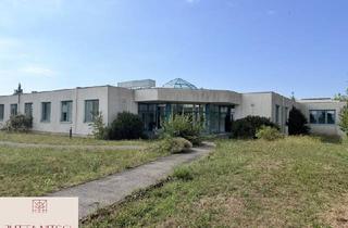 Immobilie mieten in 2514 Traiskirchen, Vielseitiges Gewerbeobjekt, ideal für Pharma, Labor & Produktion mit Erweiterungspotential - Traiskirchen