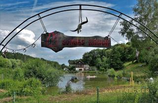 Gewerbeimmobilie kaufen in 3420 Kritzendorf, SONJAS RANCH - Pferdehof mit Teich und Haus auf Pachtgrund - KRITZENDORF