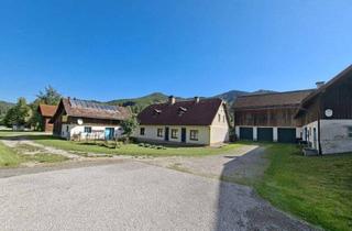 Bauernhäuser zu kaufen in 3195 Kernhof, Anwesen mit insges. 23.600m² Fläche, 2 Wohnhäuser, Nebengebäude, Wirtschaftsgebäude, Garagen