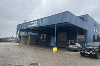 Gewerbeimmobilie kaufen in 4614 Marchtrenk, Lager-/Produktionshalle mit Büro in Toplage direkt an der B 1 mit 2500 KVA Stromleistung und Hausbrunnen