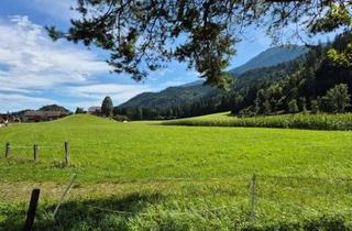 Grundstück zu kaufen in 9771 Berg, Traumhafte Bauparzellen ab 57060 Euro mit Dolomitenblick in Berg im Drautal