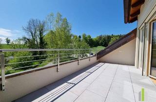 Wohnung mieten in 5203 Köstendorf, Exklusive 2 Zi.-Wohnung mit Süd-Loggia!