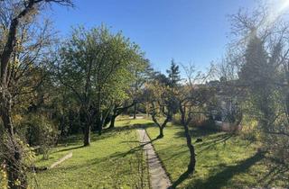 Haus kaufen in 2344 Maria Enzersdorf, € 1.050.000 für 1.020 m² Grundstück bei Burg Liechtenstein: Haus in Traumlage STOJANSTRASSE mit wunderschönem Garten!