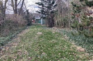 Grundstück zu kaufen in Badner Straße 36, 2540 Bad Vöslau, Zentrumsnaher Baugrund mit Altbestand und großem Ruhegarten | ZELLMANN IMMOBILIEN