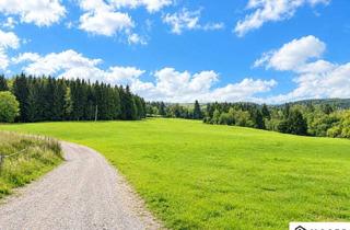 Gewerbeimmobilie kaufen in 8820 Neumarkt in Steiermark, +++ Mühlen bei Neumarkt: ca. 8 ha große landwirtschaftliche Liegenschaft zu verkaufen+++