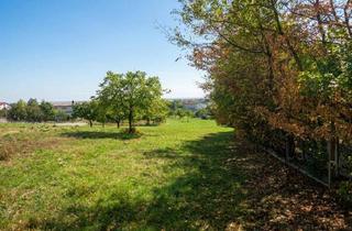 Grundstück zu kaufen in 7083 Purbach am Neusiedler See, Großzügiges Grundstück in ruhiger Lage!