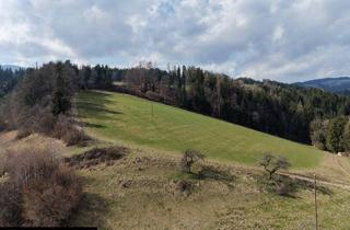 Gewerbeimmobilie kaufen in Rossegg 13, 8184 Anger, Wiesen und Wald