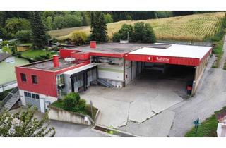 Gewerbeimmobilie kaufen in 3142 Murstetten, Vielseitig nutzbare Betriebsliegenschaft - ehemalige Fleischerei