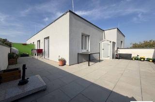 Wohnung mieten in 2111 Harmannsdorf, DACHGESCHOSS mit 51 m² Dachterrasse in Harmannsdorf - inkl. EWE Einbauküche