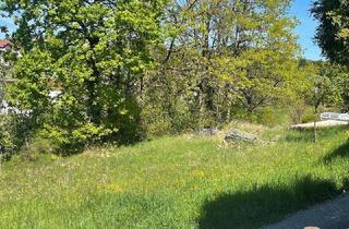 Grundstück zu kaufen in 4111 Walding, Traum-Bauland in Walding: Zentrumslage trifft unverbaubare Weitblick-Panoramalage...