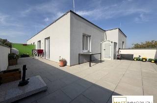 Wohnung mieten in 2111 Rückersdorf, DACHGESCHOSS mit 51 m² Dachterrasse in Harmannsdorf - inkl. EWE Einbauküche