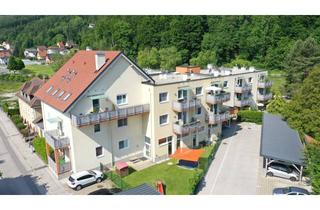 Wohnung mieten in 2840 Grimmenstein, SENIORENWOHNUNG: sonnige 2-Zimmer-Wohnung mit Balkon in Grimmenstein - Bucklige Welt - Top 10