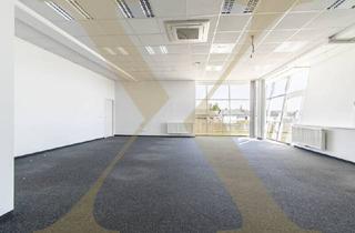 Büro zu mieten in 4050 Traun, Klimatisierte Bürofläche mit Parkplätzen und Lager in Trauner Bestlage zu vermieten!