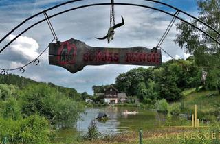 Haus kaufen in 3420 Kritzendorf, Sonjas Ranch - Pferdehof mit Teich und Haus auf Pachtgrund - Kritzendorf