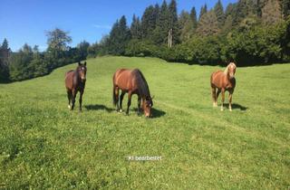 Gewerbeimmobilie kaufen in 8756 Sankt Georgen ob Judenburg, landw. Mähfläche oder Hutweide