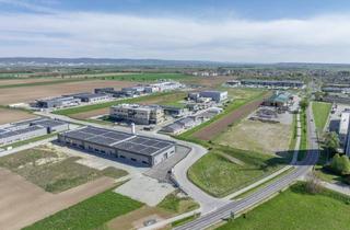 Gewerbeimmobilie kaufen in 7011 Siegendorf, Industriebaugrundstück am Hotspot der B16 – 11.362 m² direkt am Kreisverkehr Siegendorf