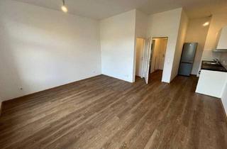 Wohnung mieten in Kerpelystraße 129, 8700 Leoben, Sanierte 1-Zimmer-Wohnung mit neuer Einbauküche in Donawitz zu vermieten