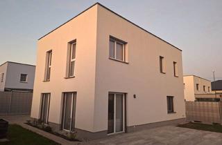 Einfamilienhaus kaufen in 3133 Traismauer, Modernes Einfamilienhaus