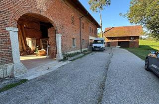 Lager mieten in 4501 Neuhofen an der Krems, Großzügige Lagerflächen zu Vermieten - Für Wohnmobile, Fahrzeuge, Paletten & Regalsysteme | Ca. 626 m²