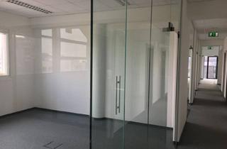 Büro zu mieten in 1220 Wien, Büroflächen in 1220 Wien zu Mieten
