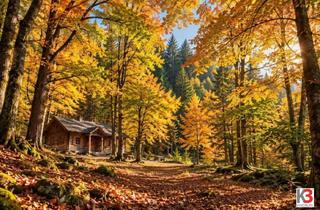 Villen zu kaufen in 5020 Salzburg, 10.000 ha farmland + forest + privat hunting !!! --- K3 - EIGENJAGDEN - auch EINZELN erwerbbar