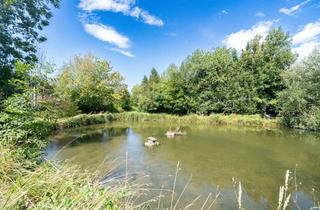 Grundstück zu kaufen in 4501 Neuhofen an der Krems, Naturidylle in Neuhofen an der Krems – Grundstück mit eigenem Fischteich