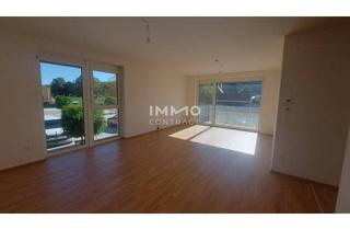 Wohnung mieten in 3508 Paudorf, Top Erstbezugswohnung