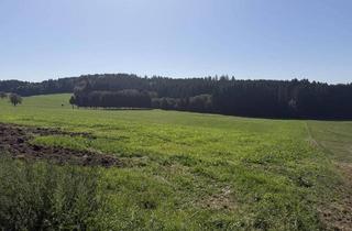 Grundstück zu kaufen in 4085 Wesenufer, Arrondierte landwirtschaftliche Nutzfläche