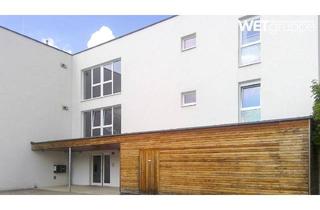 Wohnung mieten in Sportplatzgasse 11/3/10, 3123 Großrust, Großrust | Geförderte Miete mit Kaufoption | Top 3/10 | 2.OG mit Balkon