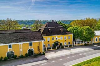 Haus kaufen in Salzburger Straße 227, 4600 Wels, Immobilienrarität in Wels mit Geschichte, Charme & Entwicklungspotenzial!